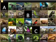 abc animals - your alphabet letters mini adventure ipad images 2