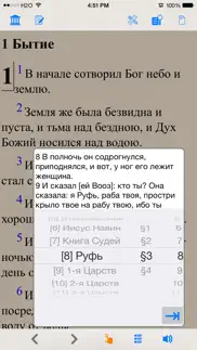 Библия (текст и аудио)(audio)(russian bible) айфон картинки 3