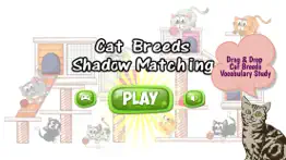 cats and kittens shadow matching game iphone images 4