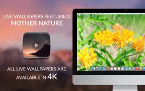 livingdesktop 4k - live videos for multi monitors iphone images 2