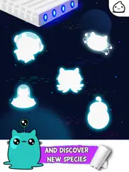 kitty cat evolution game ipad images 3
