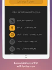 lights for philips hue ipad images 4