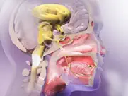 physiology animations iPad Captures Décran 3