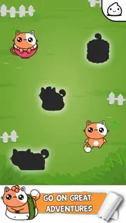 kitty cat evolution game iphone images 1