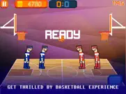 basketball physics-real bouncy soccer fighter game ipad images 1