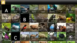 abc animals - your alphabet letters mini adventure iphone images 2