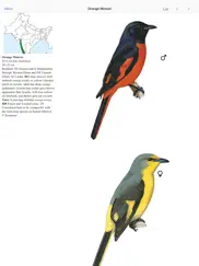 eguide to birds of the indian subcontinent ipad images 2