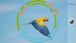 birdsnap - bird identification iphone images 3