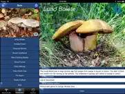 mushroom id north america ipad images 4