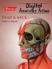 head and neck ipad images 1