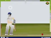 touch cricket ipad images 1