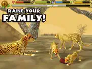 cheetah simulator ipad images 2
