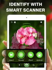 smart identifier: plant+insect ipad images 1