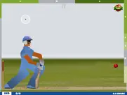 touch cricket ipad images 2