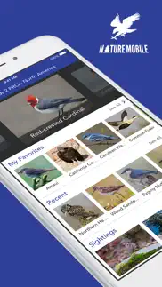 iknow birds pro - usa iphone capturas de pantalla 1