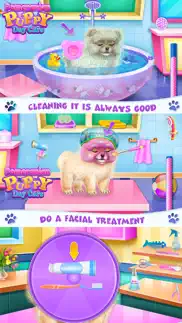 pomeranian puppy day care iphone images 2