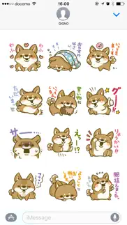 japanese shiba-inu with you iphone images 2