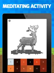 pixel.io - color by number ipad images 2