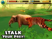 tiger simulator ipad images 1