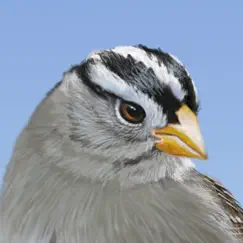 ibird yard+ guide to birds logo, reviews