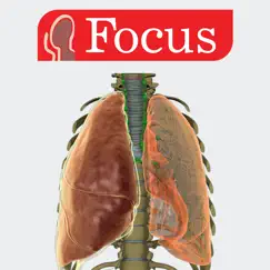 lungs - digital anatomy logo, reviews