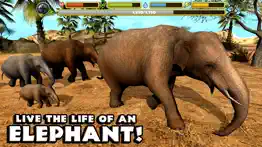 elephant simulator iphone images 1