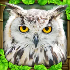owl simulator logo, reviews