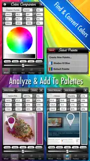 compañero de colores - analizador y el convertidor iphone capturas de pantalla 1