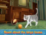 house cat city survival sim ipad images 2