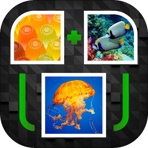 PicPicWord - New 2 Pics 1 Word Puzzle app reviews download