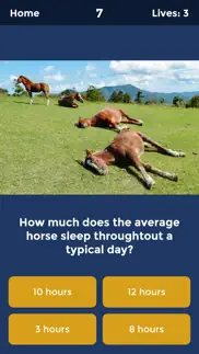 horse quiz by haygrazer iphone images 1