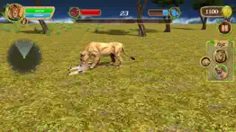 wild lion family simulator iphone images 2