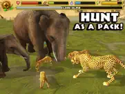 cheetah simulator ipad images 3