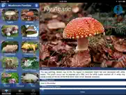 mushroom id north america ipad images 1