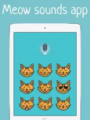 how to talk to cats cat translator ipad images 2