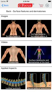 back and spinal cord iphone images 3