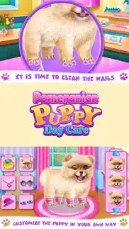 pomeranian puppy day care iphone images 3