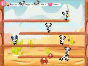 hit the panda - knockdown game ipad images 3