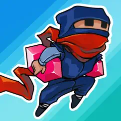 rogue ninja logo, reviews
