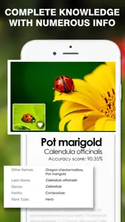 smart identifier: plant+insect iphone images 1