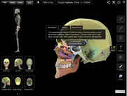 skeleton system pro iii iPad Captures Décran 3