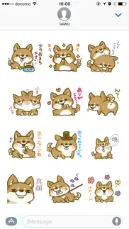 japanese shiba-inu with you iphone images 3