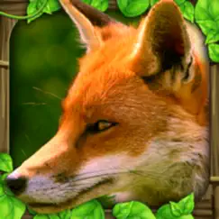 fox simulator logo, reviews