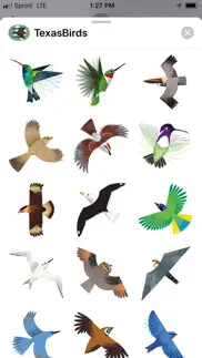 texas birds sticker pack iphone images 2