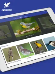 iknow birds pro - usa ipad capturas de pantalla 1