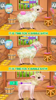 baby sheep care iphone images 2