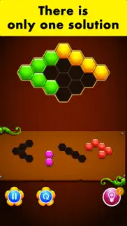 honeycomb puzzle - game iphone images 3