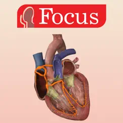 heart - digital anatomy logo, reviews