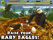 eagle simulator ipad images 2