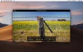 blackmagic raw player iphone images 1